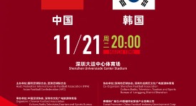 【大雨中断】荷兰vs瑞典比赛暂停，场地积水严重